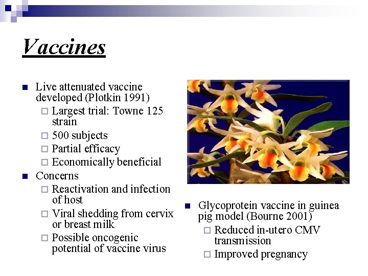 Vaccines n n Live attenuated vaccine developed (Plotkin 1991) ¨ Largest trial: Towne 125