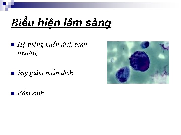 Biểu hiện lâm sàng n Hệ thống miễn dịch bình thường n Suy giảm