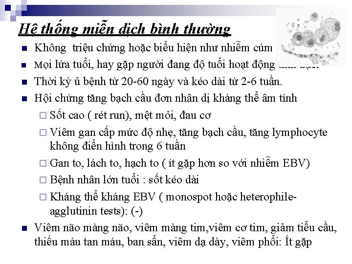 Hệ thống miễn dịch bình thường n n n Không triệu chứng hoặc biểu