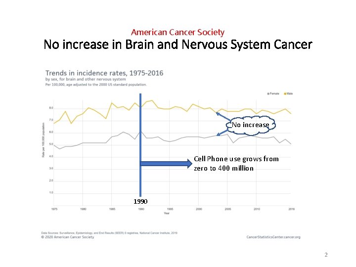 American Cancer Society No increase in Brain and Nervous System Cancer No increase Cell