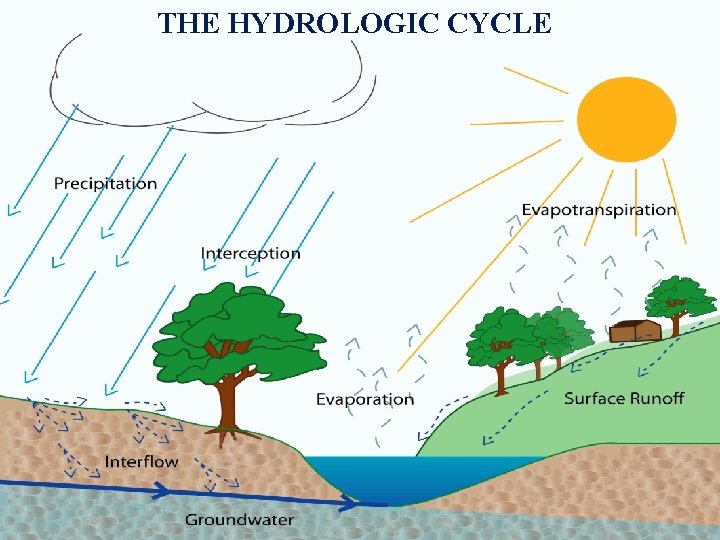 THE HYDROLOGIC CYCLE 