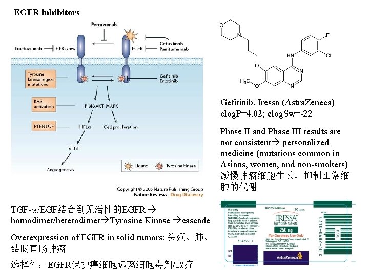 EGFR inhibitors Gefitinib, Iressa (Astra. Zeneca) clog. P=4. 02; clog. Sw=-22 Phase II and