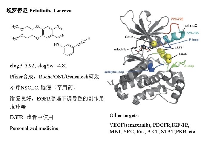 埃罗替尼 Erlotinib, Tarceva clog. P=3. 92; clog. Sw=-4. 81 Pfizer合成，Roche/OST/Genentech研发 治疗NSCLC, 脑癌（罕用药） 耐受良好，EGFR普遍下调导致的副作用， 皮疹等