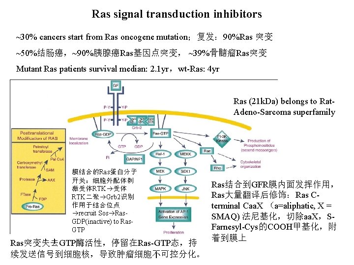 Ras signal transduction inhibitors ~30% cancers start from Ras oncogene mutation；复发： 90%Ras 突变 ~50%结肠癌，~90%胰腺癌Ras基因点突变，
