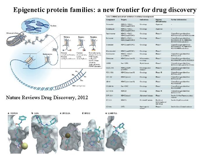 Epigenetic protein families: a new frontier for drug discovery Nature Reviews Drug Discovery, 2012