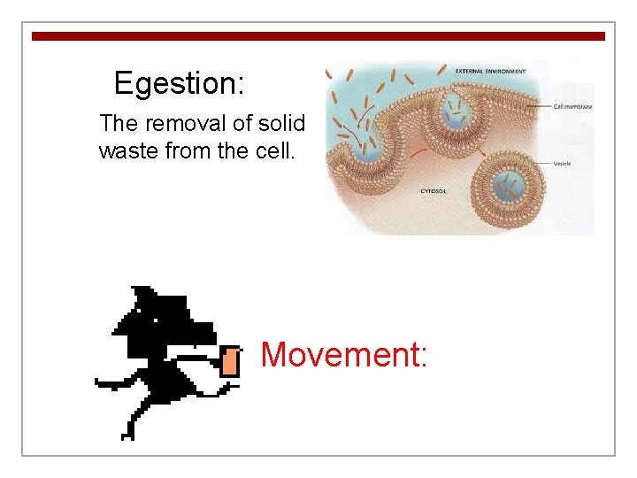 Egestion: The removal of solid waste from the cell. Movement: 