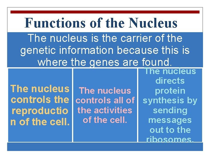 Functions of the Nucleus The nucleus is the carrier of the genetic information because