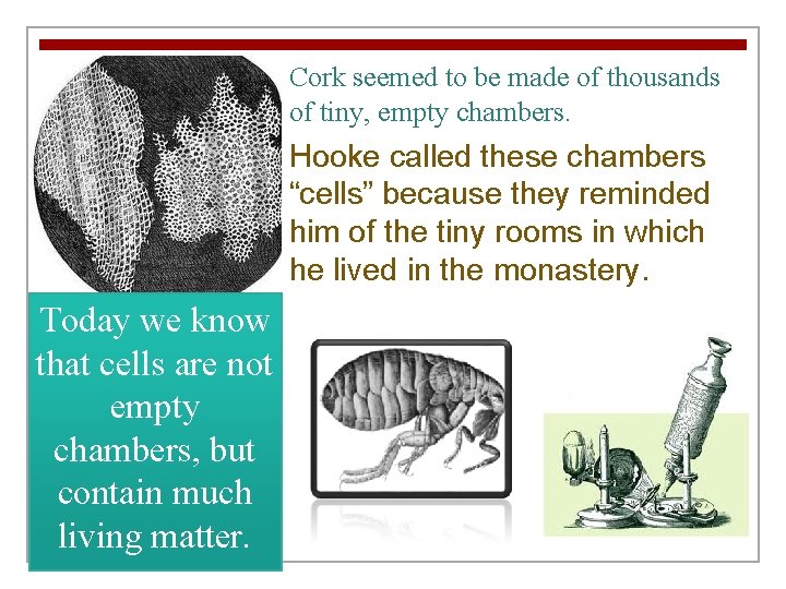 Cork seemed to be made of thousands of tiny, empty chambers. Hooke called these