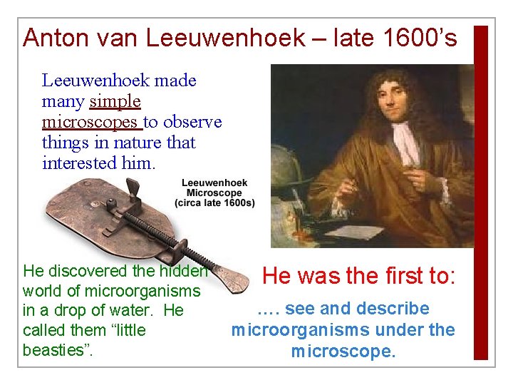 Anton van Leeuwenhoek – late 1600’s Leeuwenhoek made many simple microscopes to observe things