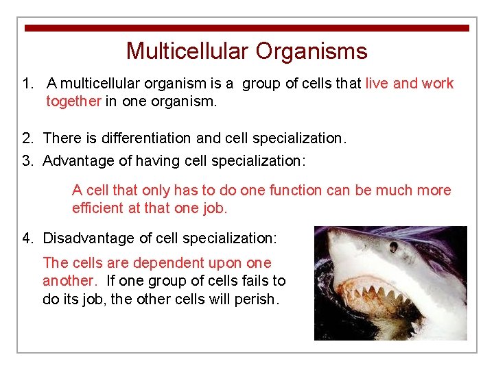 Multicellular Organisms 1. A multicellular organism is a group of cells that live and