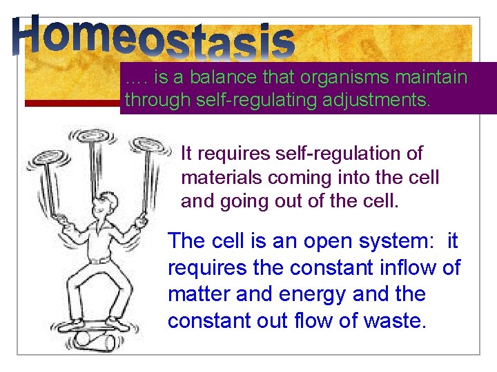 …. is a balance that organisms maintain through self-regulating adjustments. It requires self-regulation of