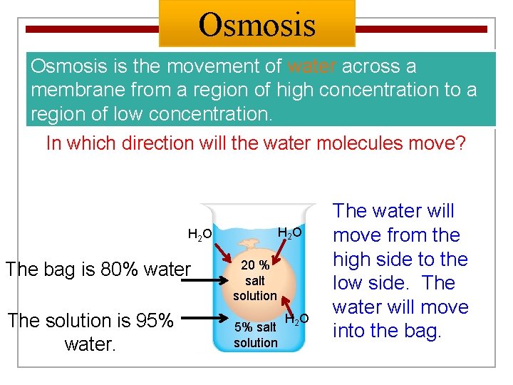 Osmosis is the movement of water across a membrane from a region of high