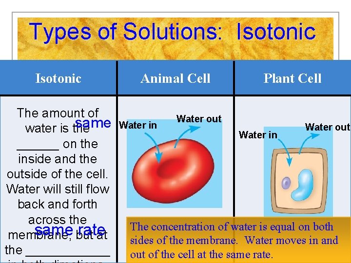 Types of Solutions: Isotonic The amount of same water is the ______ on the
