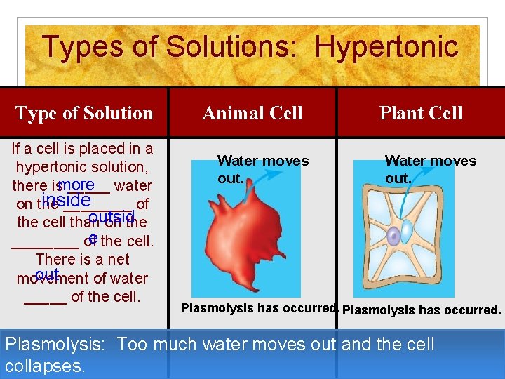 Types of Solutions: Hypertonic Type of Solution If a cell is placed in a