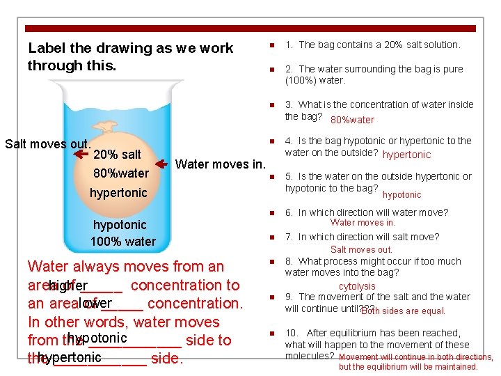 Label the drawing as we work through this. Salt moves out. 20% salt 80%water