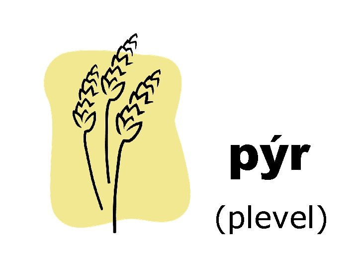 pýr (plevel) 