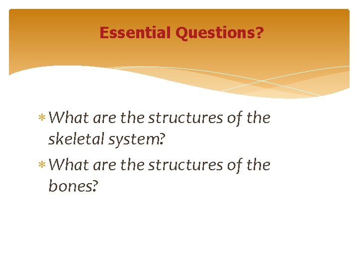 Essential Questions? What are the structures of the skeletal system? What are the structures