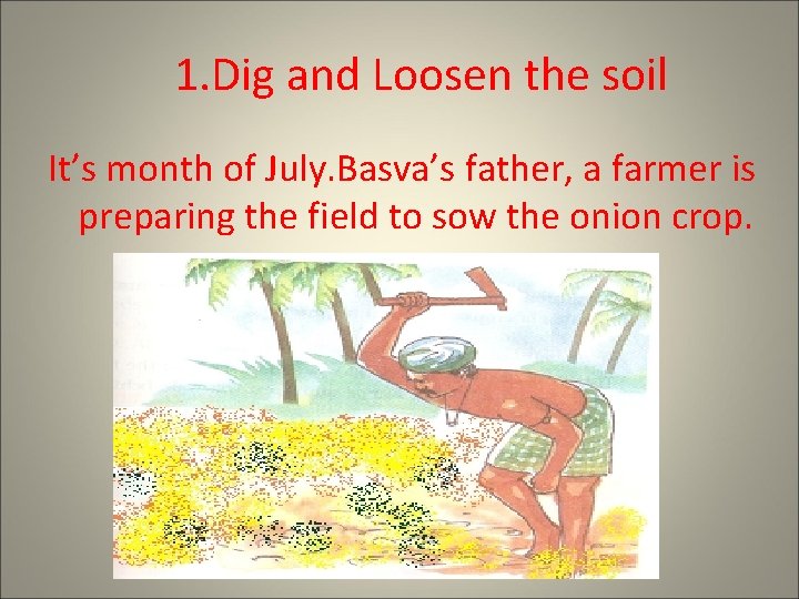 1. Dig and Loosen the soil It’s month of July. Basva’s father, a farmer