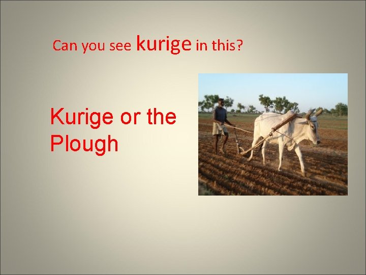 Can you see kurige in this? Kurige or the Plough 