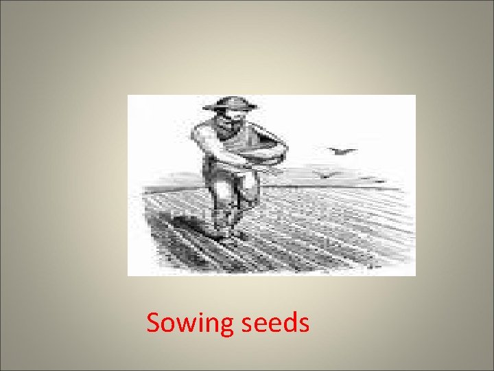 Sowing seeds 