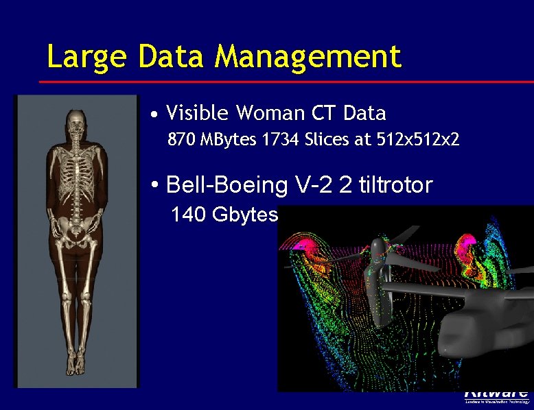 Large Data Management • Visible Woman CT Data 870 MBytes 1734 Slices at 512