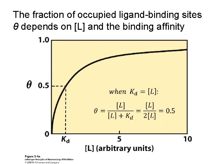 A protein binds a ligand through a specific