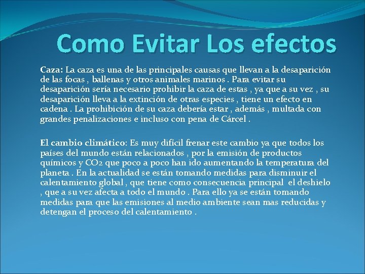 Como Evitar Los efectos Caza: La caza es una de las principales causas que