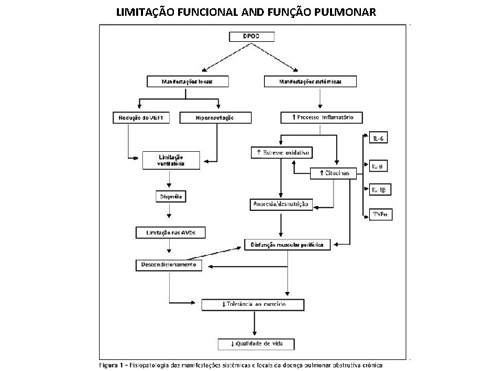 LIMITAÇÃO FUNCIONAL AND FUNÇÃO PULMONAR 