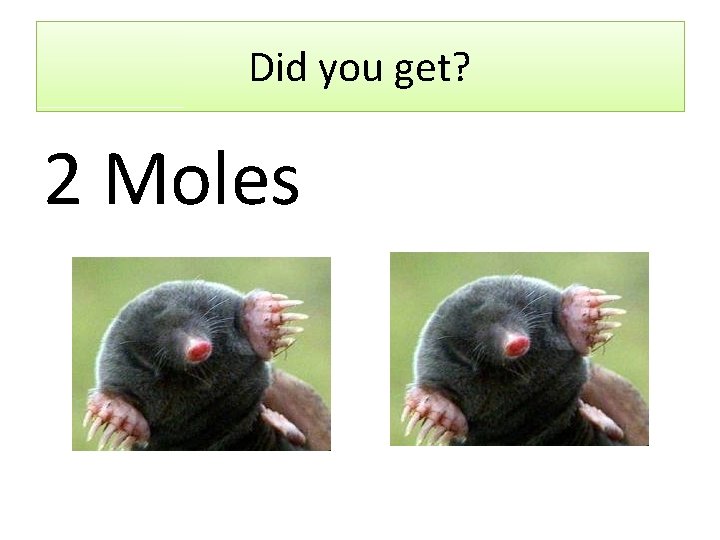 Did you get? 2 Moles 