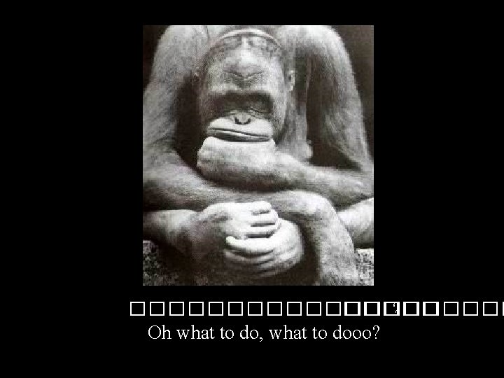 ���������� ? Oh what to do, what to dooo? 
