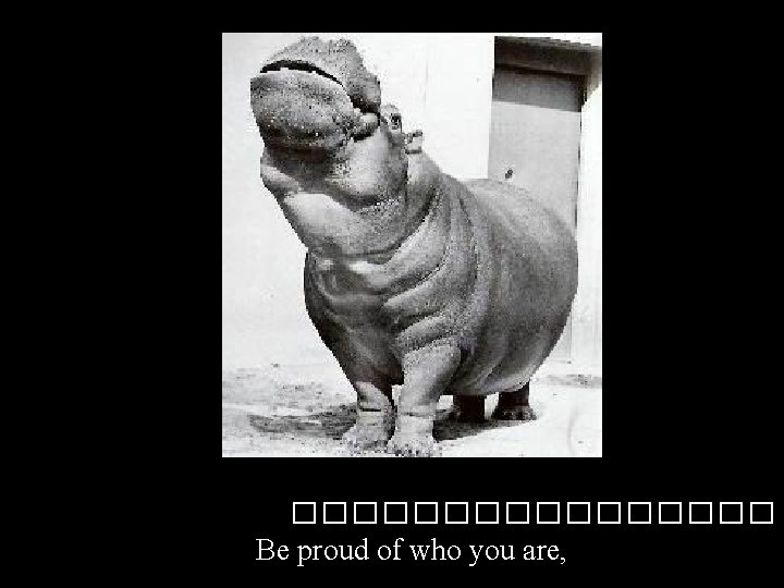 �������� Be proud of who you are, 