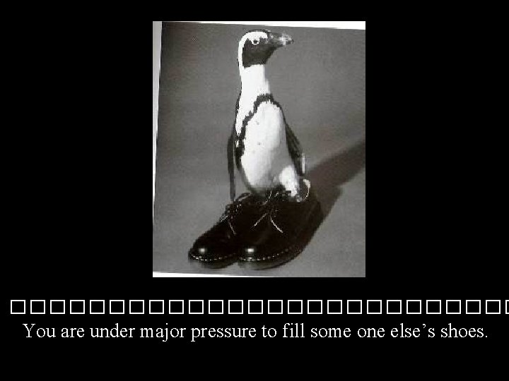 ������������� You are under major pressure to fill some one else’s shoes. 