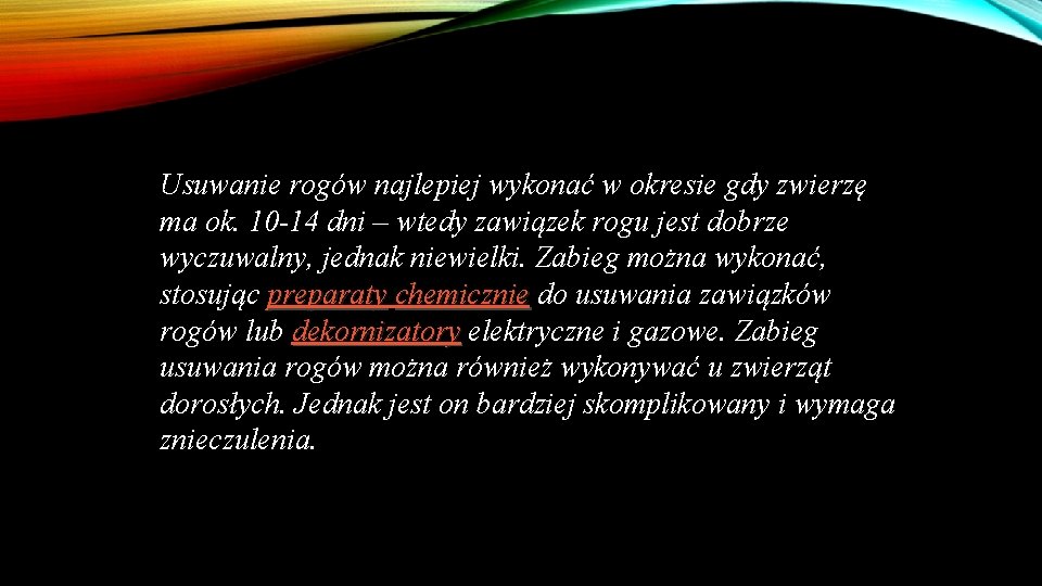 Usuwanie rogów najlepiej wykonać w okresie gdy zwierzę ma ok. 10 -14 dni –