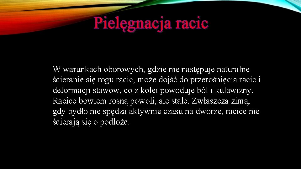 Pielęgnacja racic W warunkach oborowych, gdzie następuje naturalne ścieranie się rogu racic, może dojść