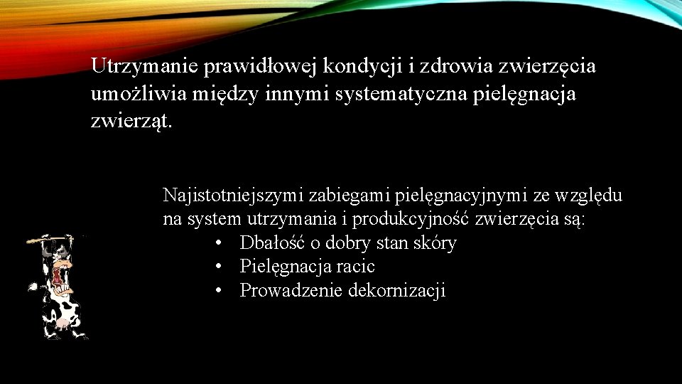 Utrzymanie prawidłowej kondycji i zdrowia zwierzęcia umożliwia między innymi systematyczna pielęgnacja zwierząt. Najistotniejszymi zabiegami