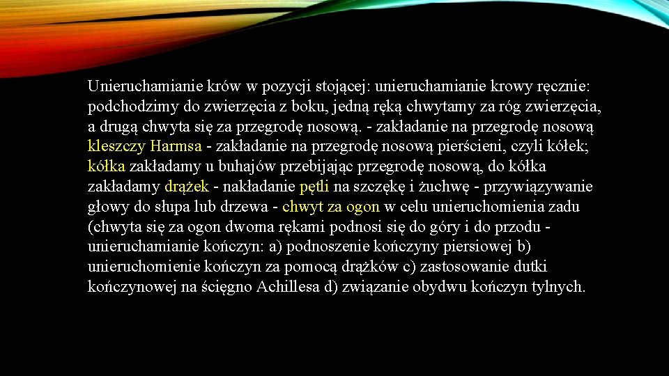 Unieruchamianie krów w pozycji stojącej: unieruchamianie krowy ręcznie: podchodzimy do zwierzęcia z boku, jedną