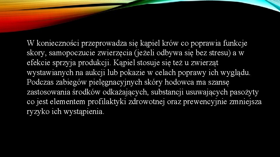 W konieczności przeprowadza się kąpiel krów co poprawia funkcje skory, samopoczucie zwierzęcia (jeżeli odbywa