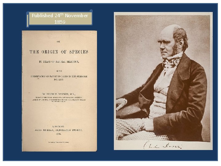 Published 24 th November 1859 How did the giraffe get its neck? Original short