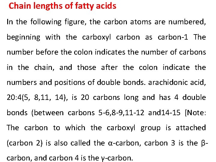 Chain lengths of fatty acids In the following figure, the carbon atoms are numbered,