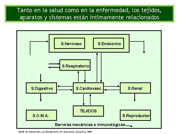 Tanto en la salud como en la enfermedad, los tejidos, aparatos y sistemas están