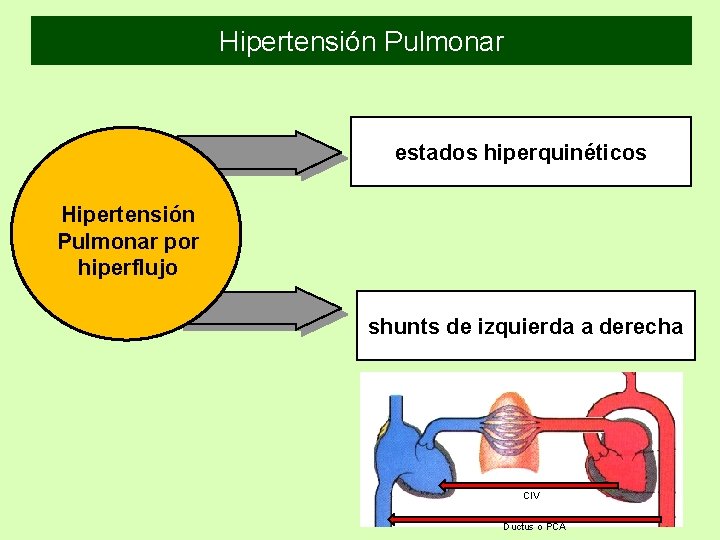 Hipertensión Pulmonar estados hiperquinéticos Hipertensión Pulmonar por hiperflujo shunts de izquierda a derecha CIV