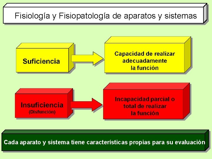 Fisiología y Fisiopatología de aparatos y sistemas Cada aparato y sistema tiene características propias