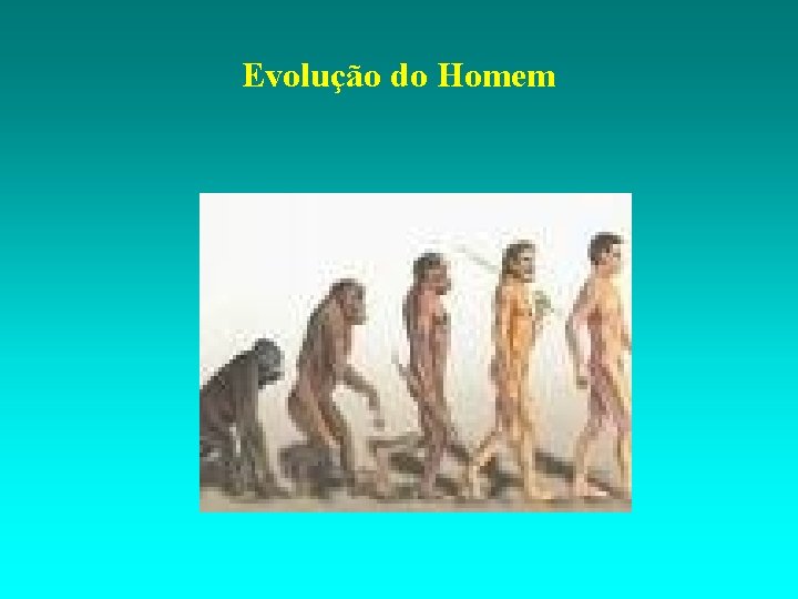 Evolução do Homem 