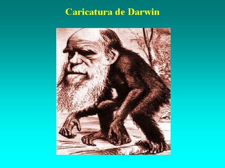 Caricatura de Darwin 