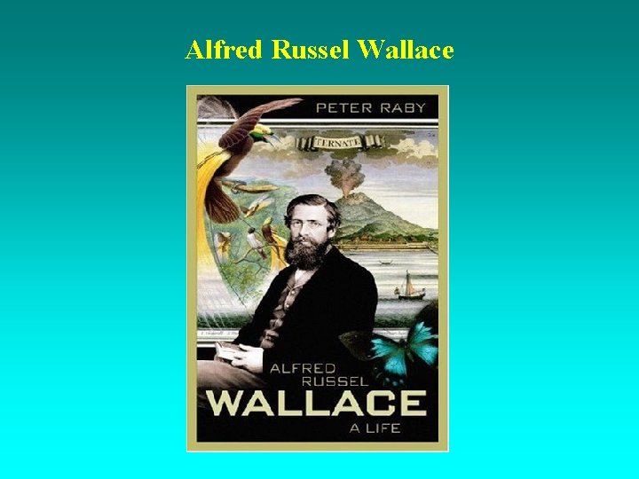 Alfred Russel Wallace 