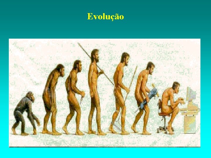 Evolução 