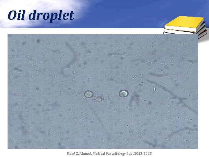 Oil droplet Raed Z. Ahmed, Medical Parasitology Lab. , 2012 -2013 