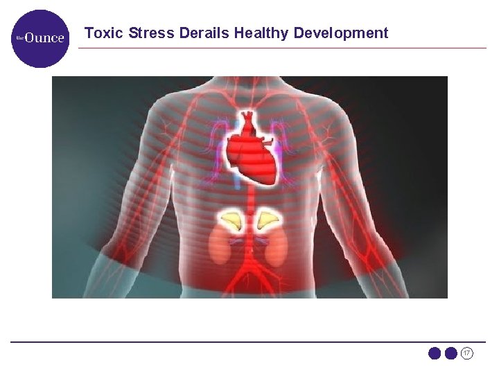 Toxic Stress Derails Healthy Development 17 