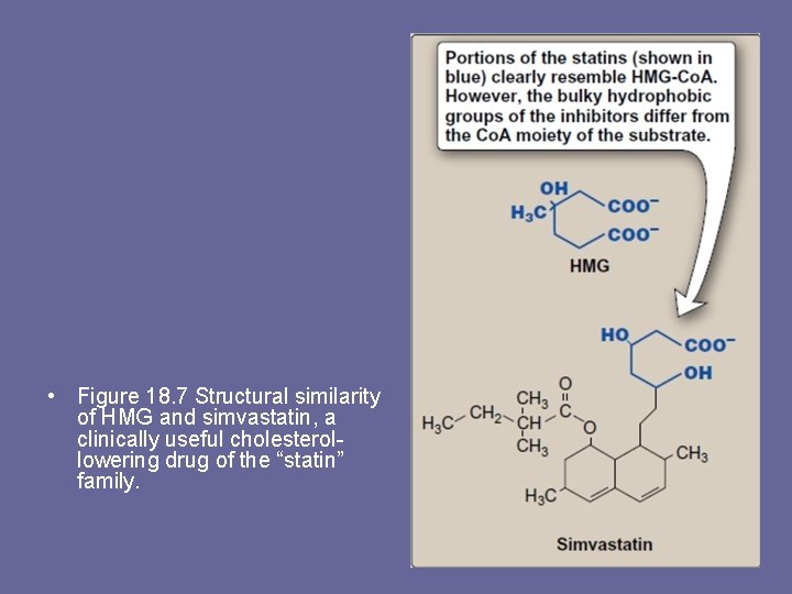  • Figure 18. 7 Structural similarity of HMG and simvastatin, a clinically useful