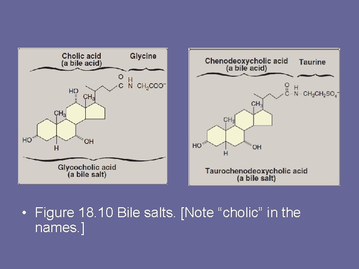  • Figure 18. 10 Bile salts. [Note “cholic” in the names. ] 